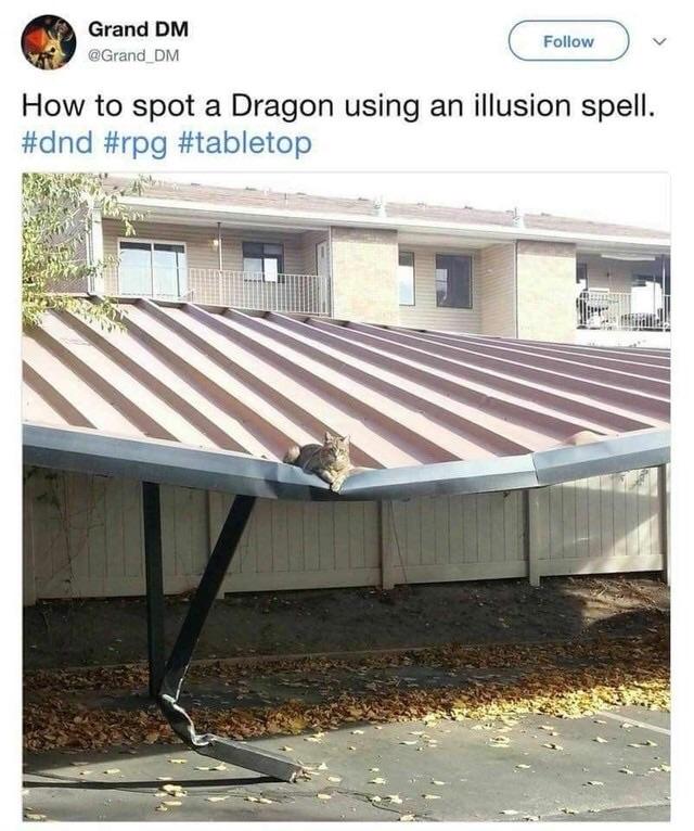 an image of a cat sitting on a partially collapsed awning with the caption How to spot a dragon using an illusion spell